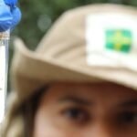 Comissão de Saúde aprova distribuição gratuita de repelentes no DF contra a dengue
