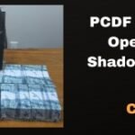PCDF deflagra Operação Shadow Shark e prende indivíduo por lavagem de dinheiro